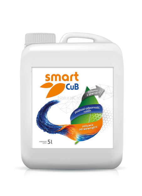 SmartCuB